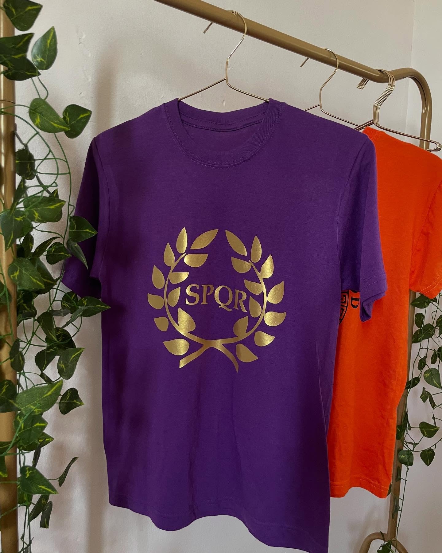 FRANELA CAMPAMENTO MESTIZO O ROMANO PERCY JACKSON LITERATURA