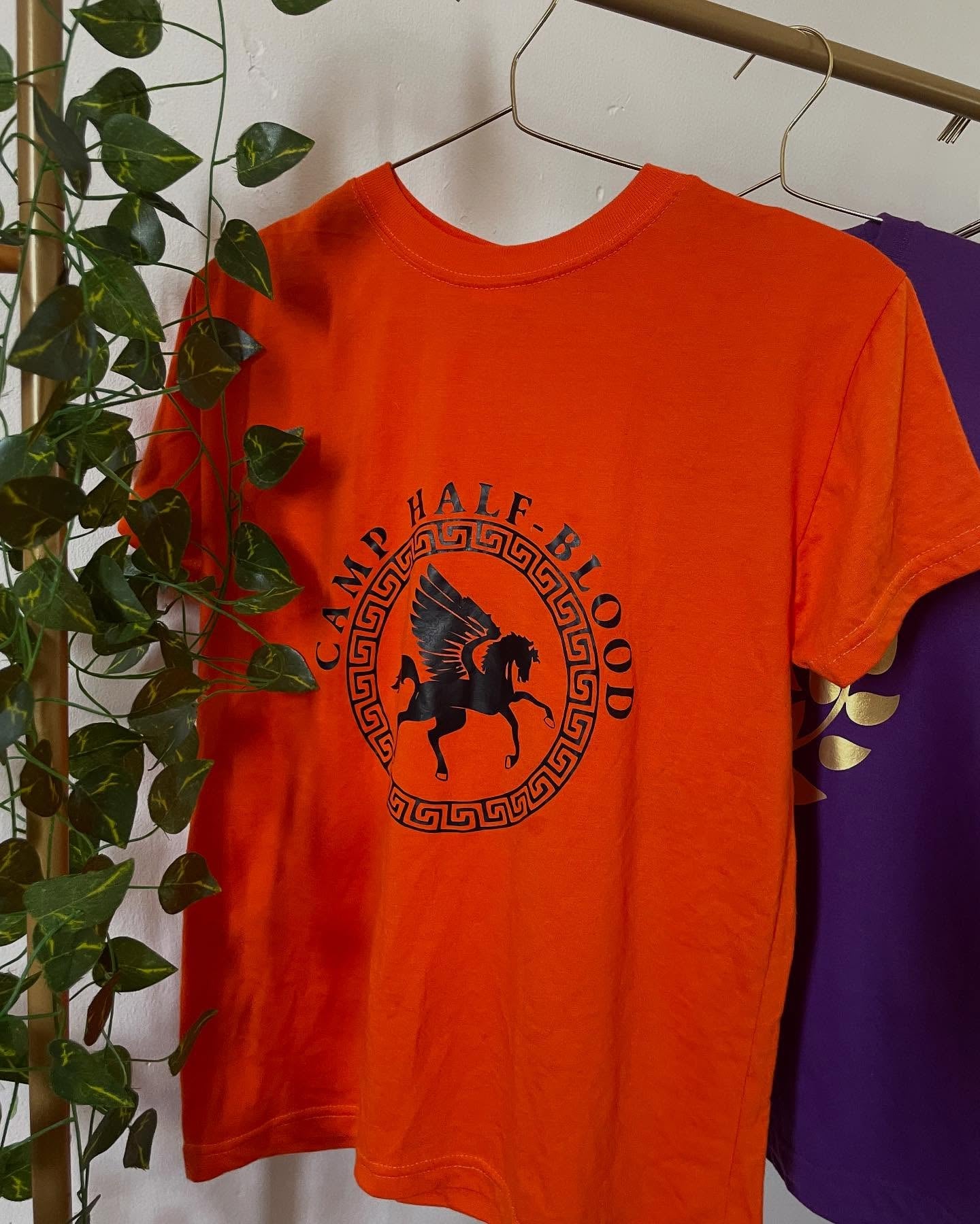 FRANELA CAMPAMENTO MESTIZO O ROMANO PERCY JACKSON LITERATURA