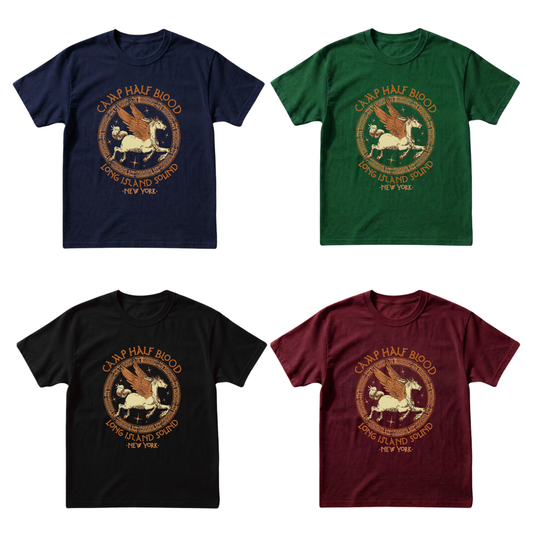 FRANELA CAMPAMENTO MESTIZO PERCY JACKSON VINTAGE
